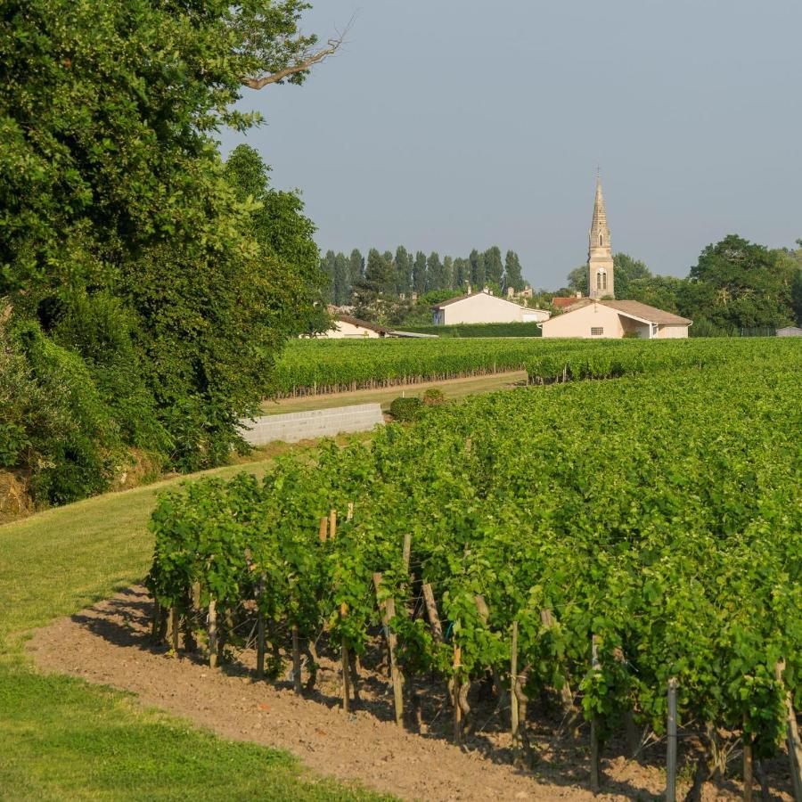 Clos De Bertinat Saint-Sulpice-de-Faleyrens Exteriér fotografie