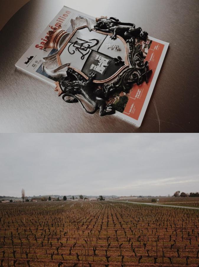 Clos De Bertinat Saint-Sulpice-de-Faleyrens Exteriér fotografie