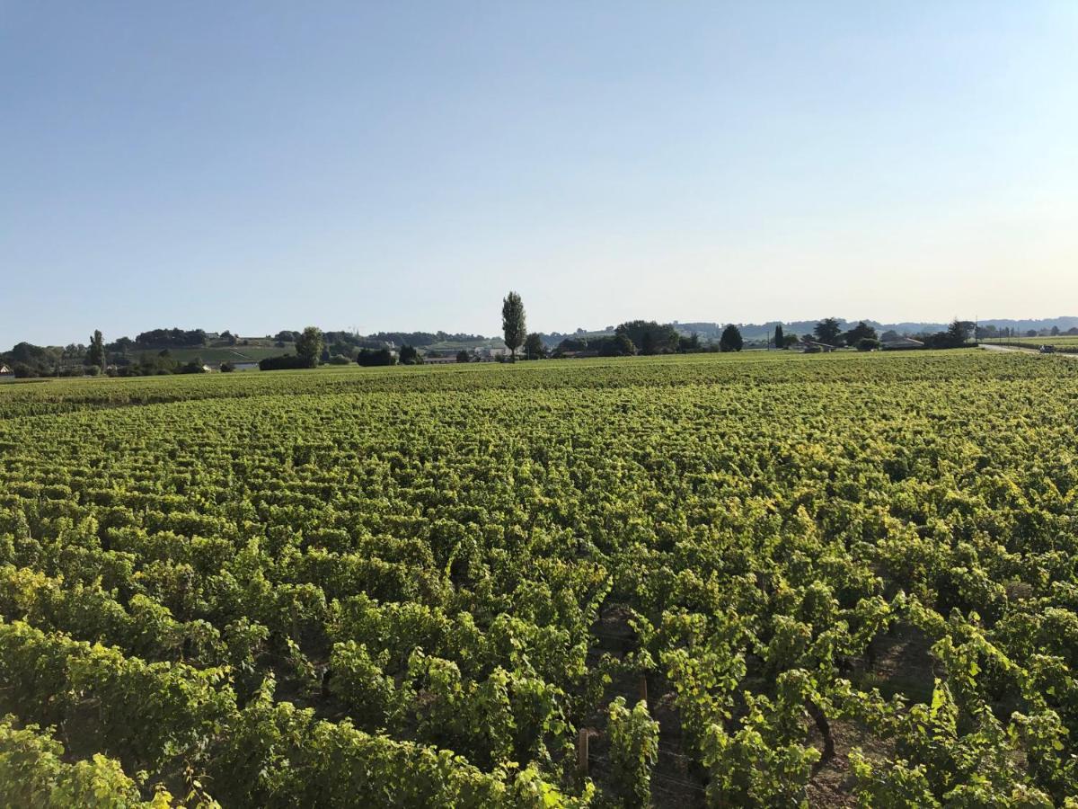 Clos De Bertinat Saint-Sulpice-de-Faleyrens Exteriér fotografie